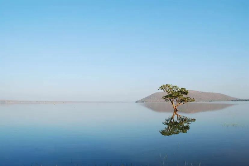 Pakhal Lake - Telangana