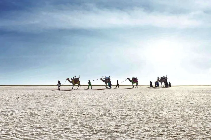 Rann of Kutch, Gujarat