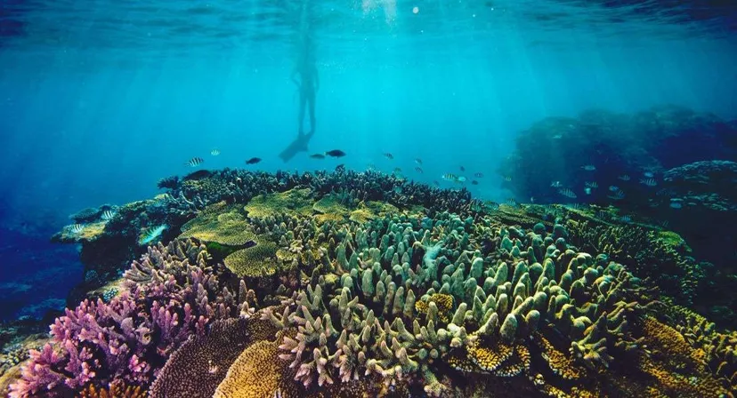 The Great Barrier Reef - Beautiful Places In The World