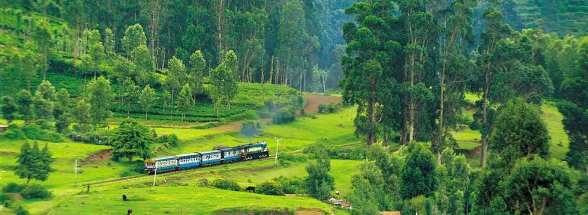ooty