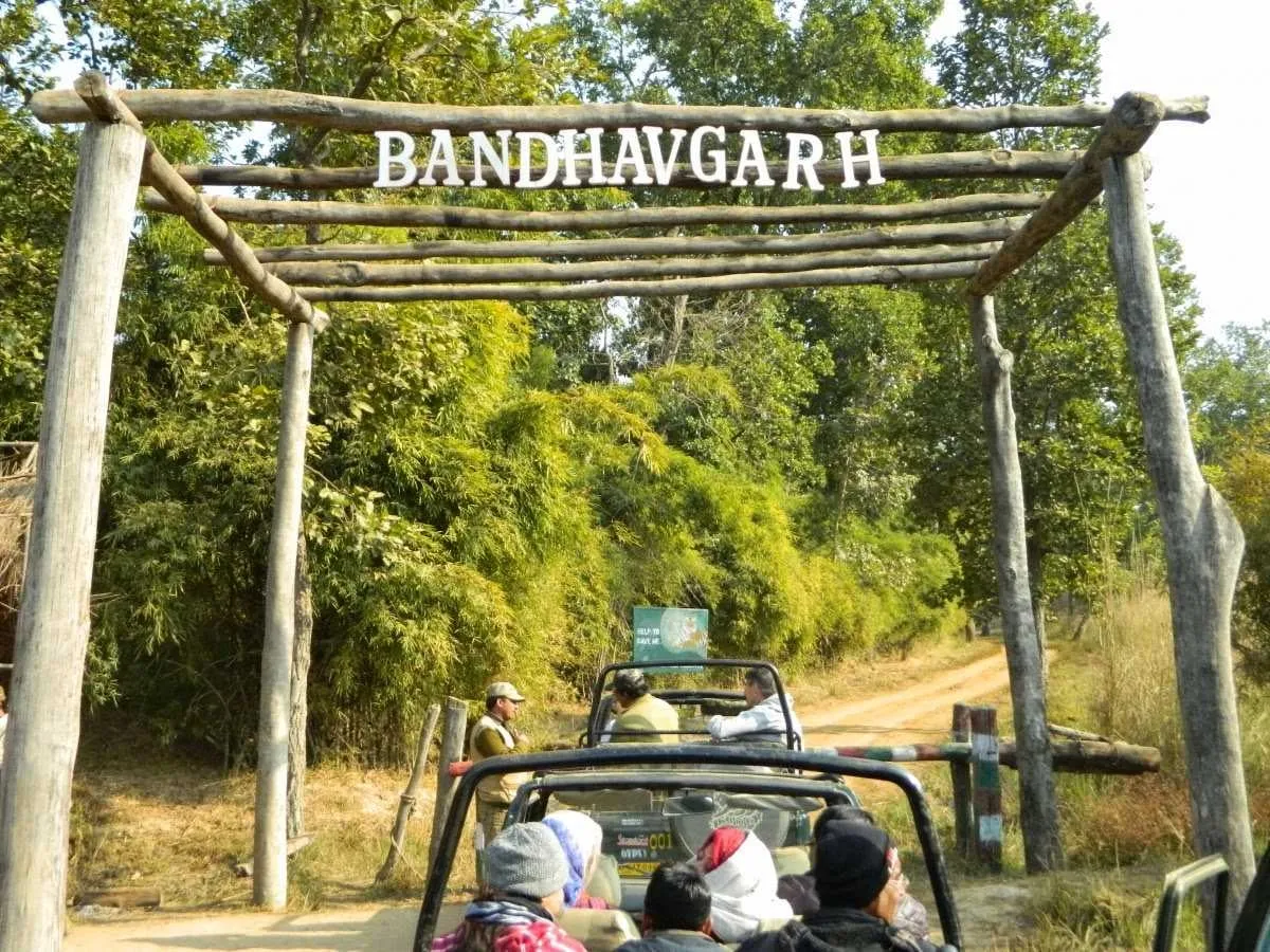 bandhavgarh entry