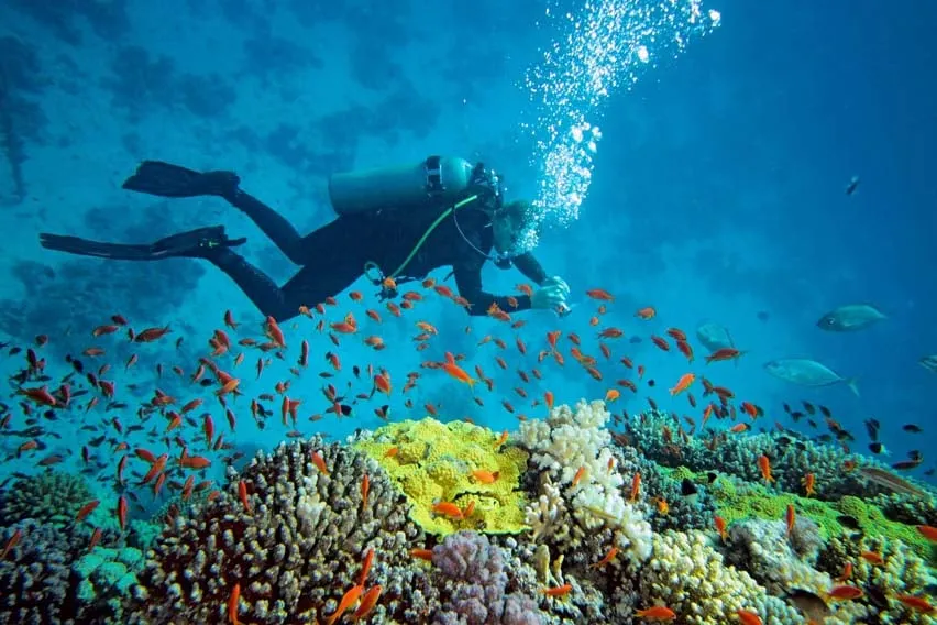 Diving Locations Africa