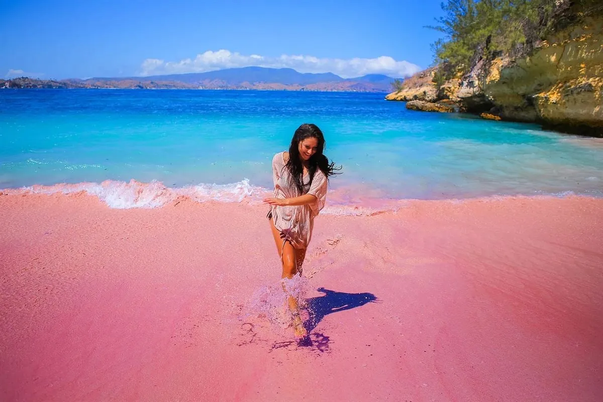 pink beach 1
