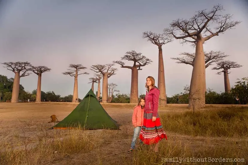 Avenue of the Baobabs