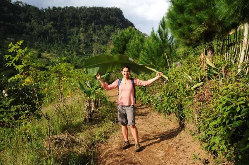 Ranomafana National Park