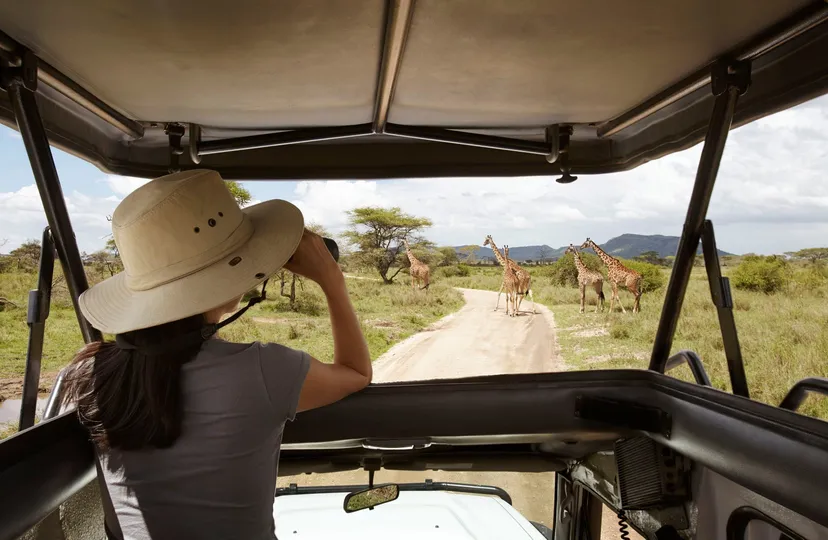 Safari Tour