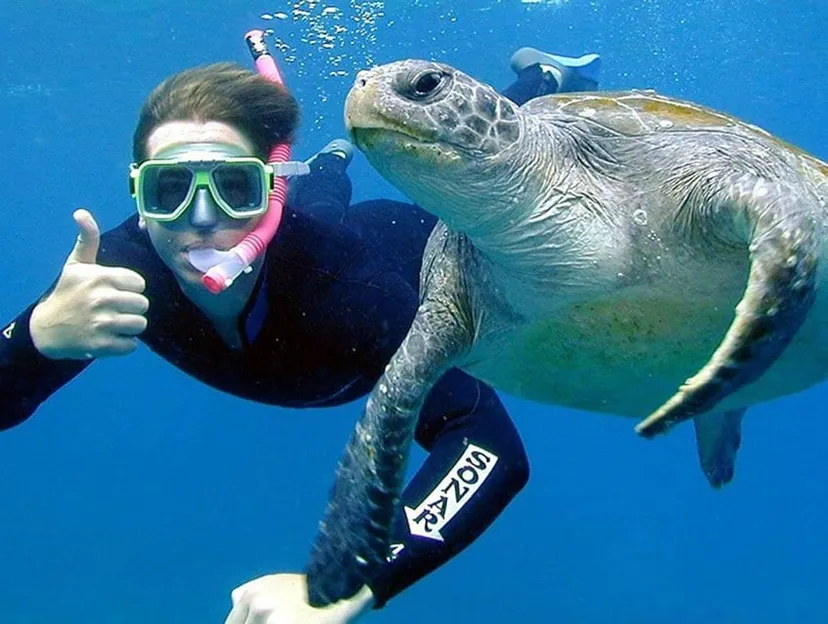 Scuba Diving Byron Bay