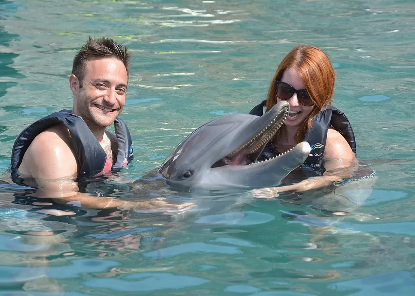 Dolphins Bermuda with couples