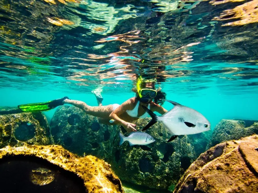 Snorkeling Bermuda