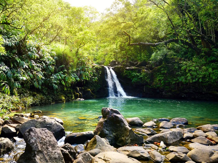 Maui Sightseeing
