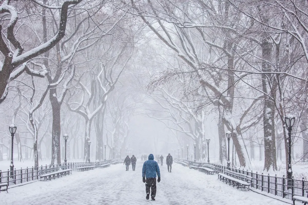 centralpark newyork