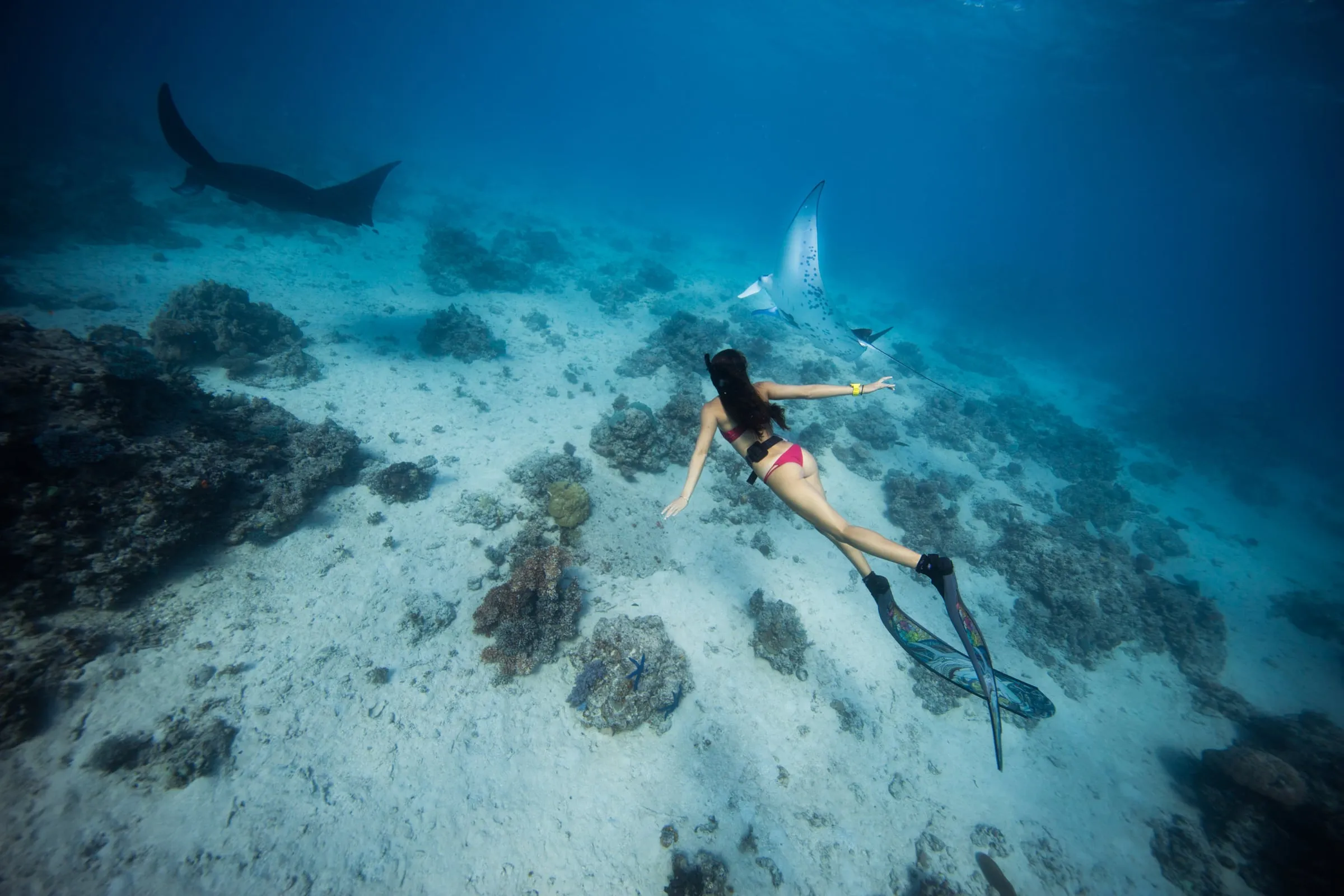 featured kadavu island fiji