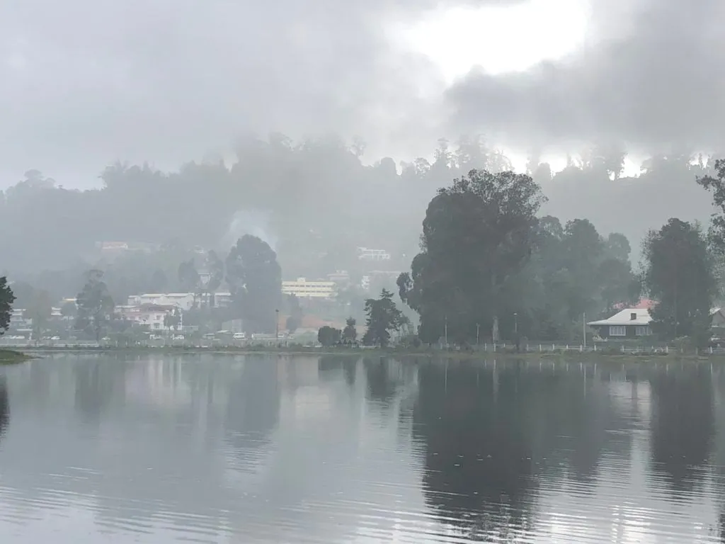 Misty Lake
