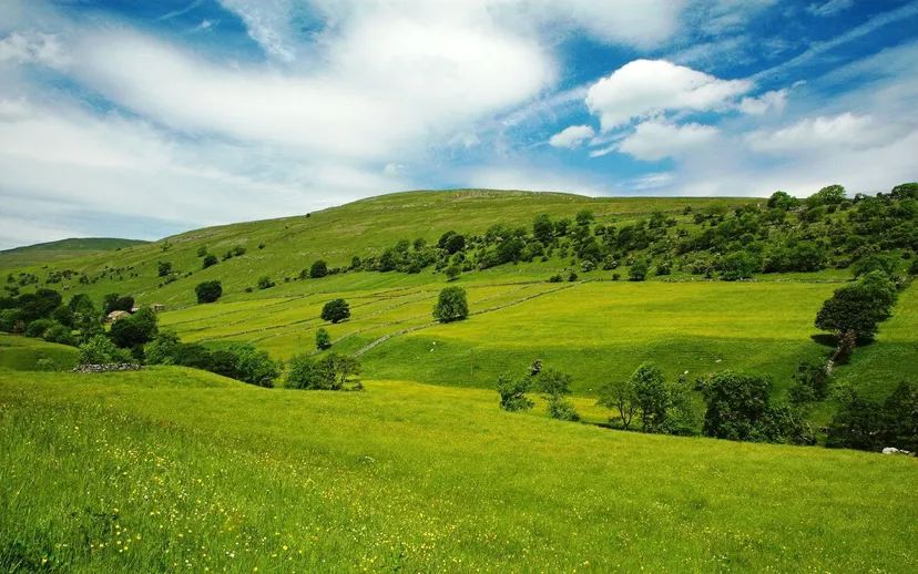 Salalah Plantation