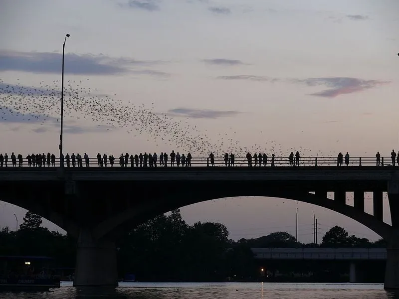 Avenue Bridge