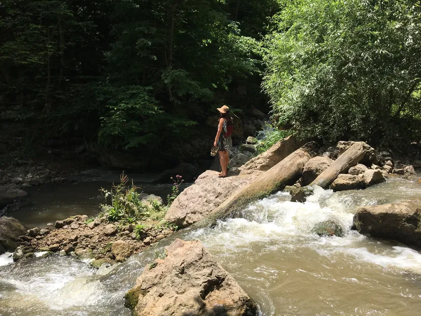 Dilijan National Park 