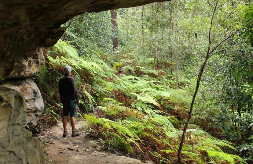 Great North Road Australia