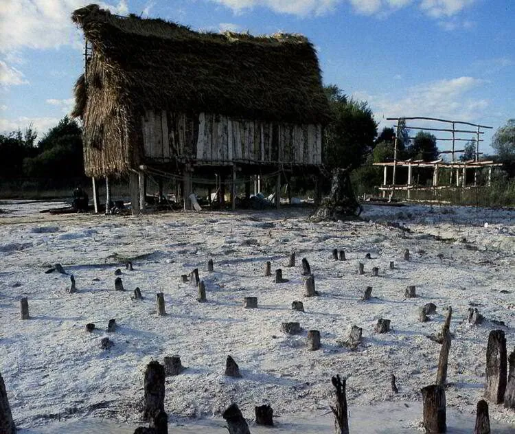 The Prehistoric Pile Dwellings Around the Alps