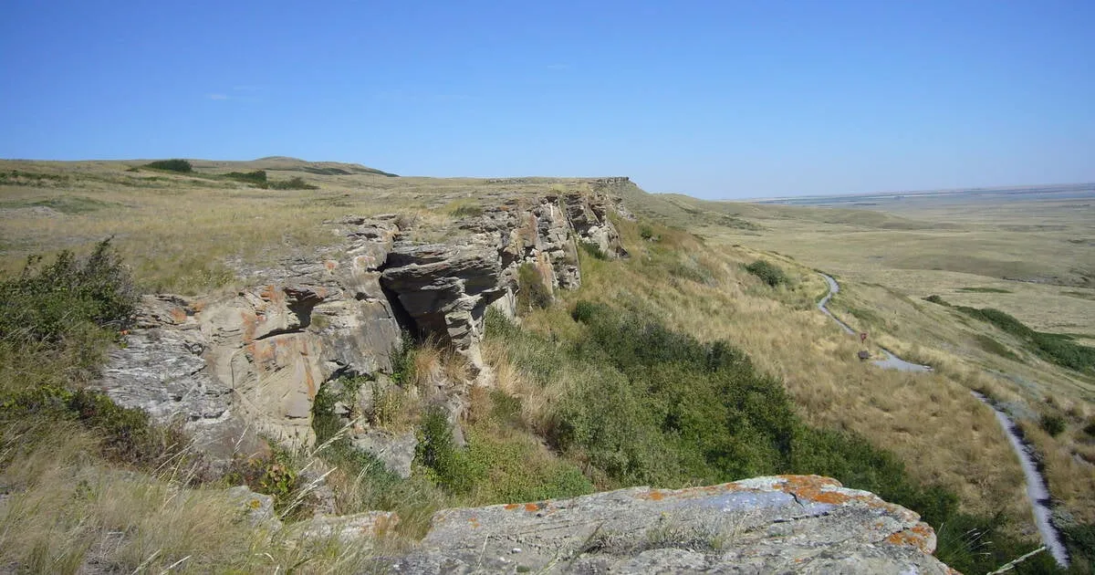 Site WHS