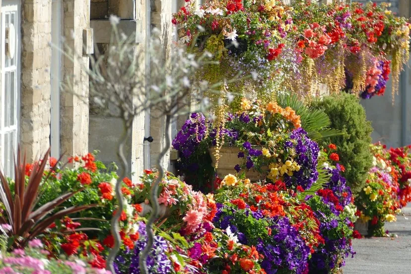 Flower exhibition