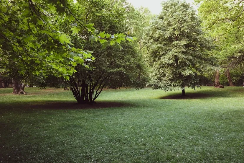 Eco-Tourism Park - Kolkata