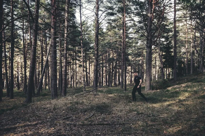 Pine Forests - Kodaikanal