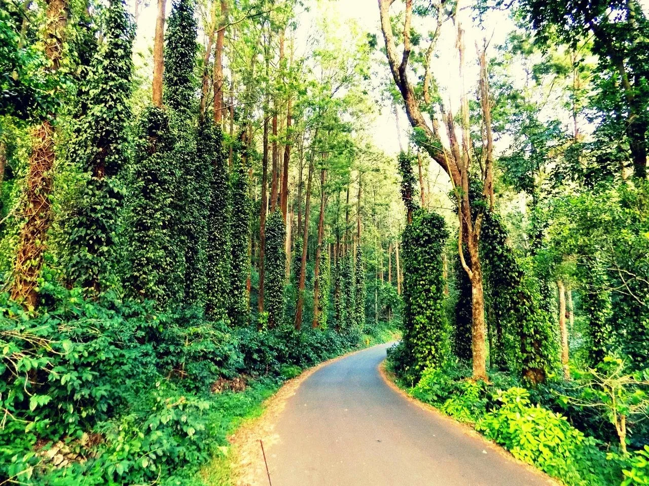 32 km loop road