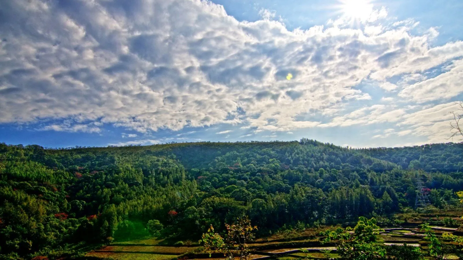 Ananthagiri hills