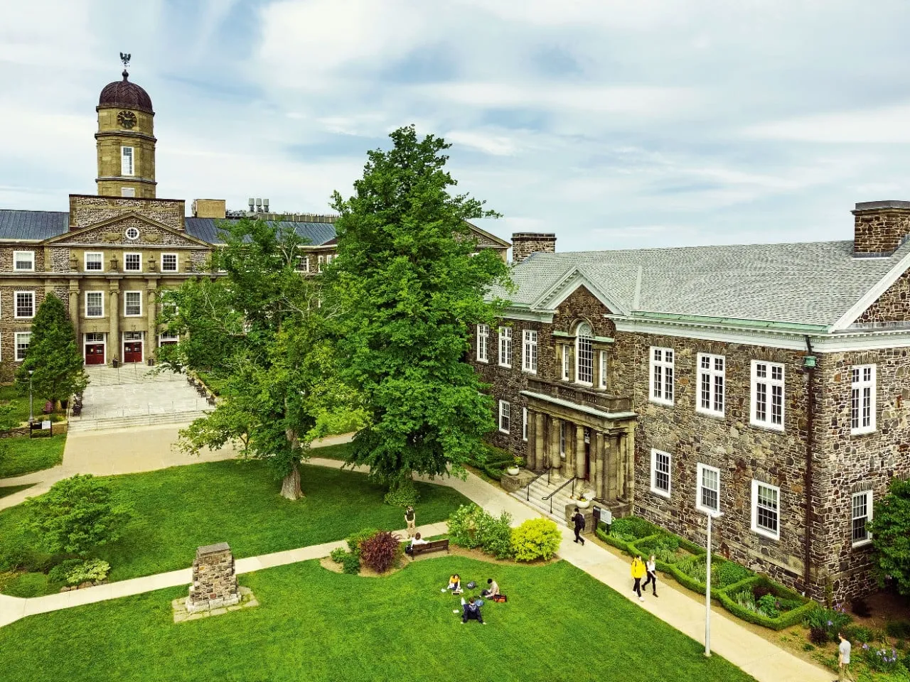 dalhousie collage
