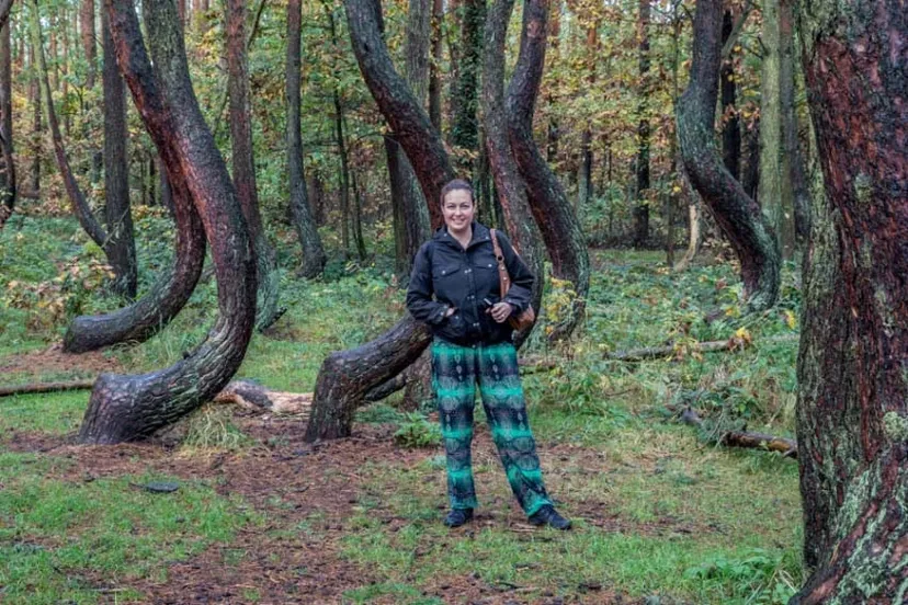 History Associated With Crooked Forest of Poland