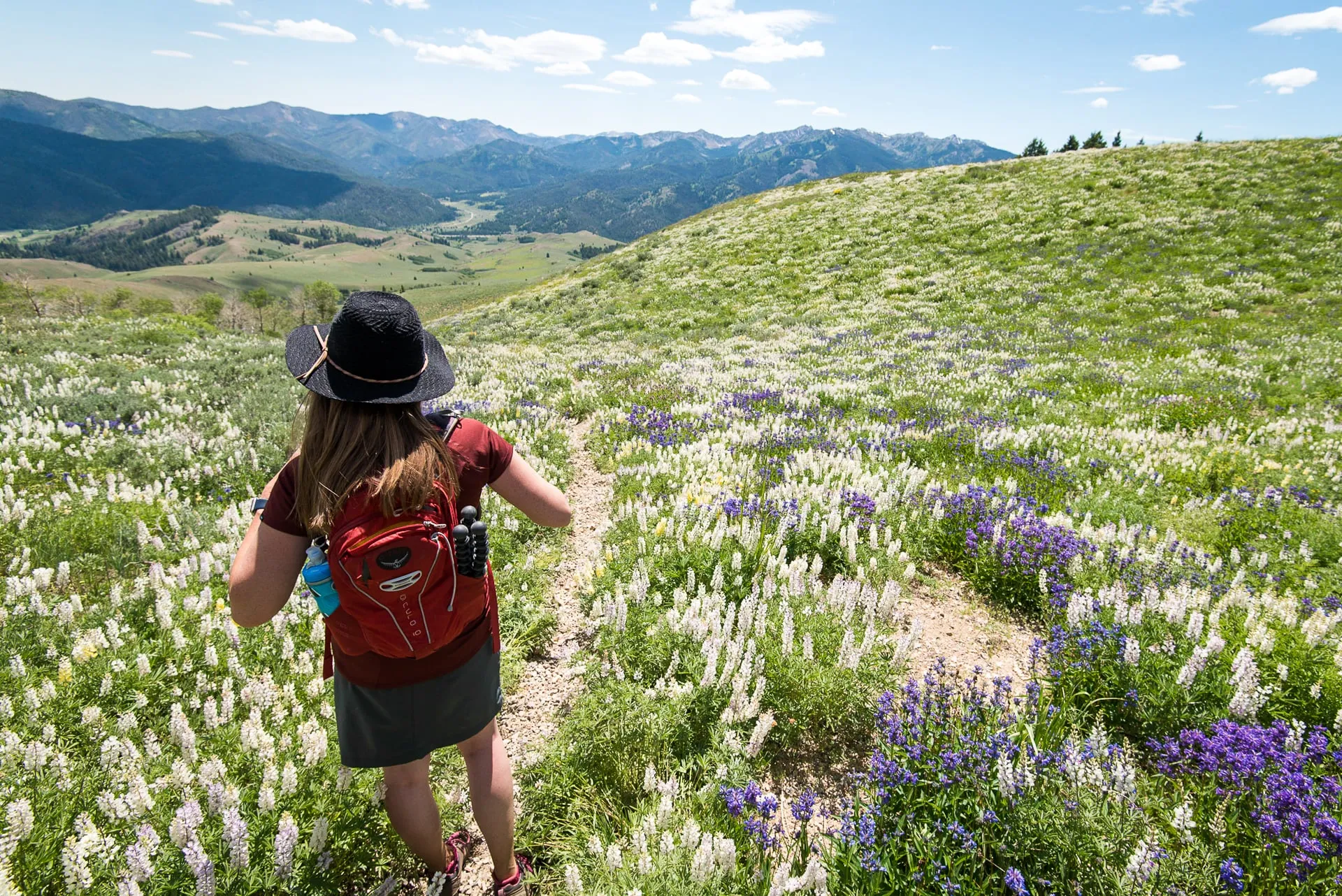 Cover Image Sun Valley