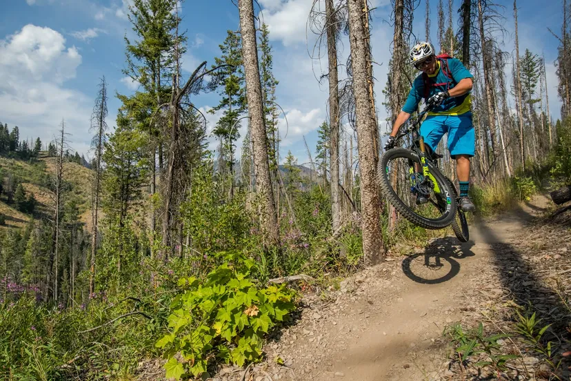 Mountain Biking