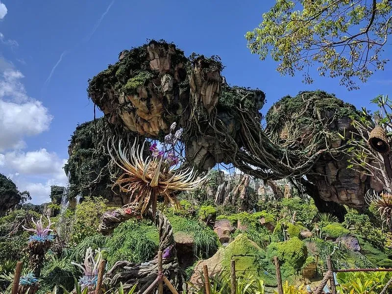 Animal Kingdom