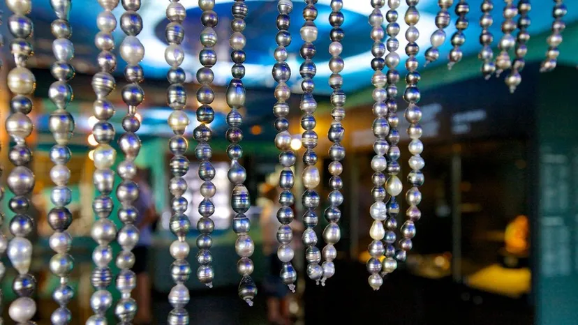 Black Pearl Museum