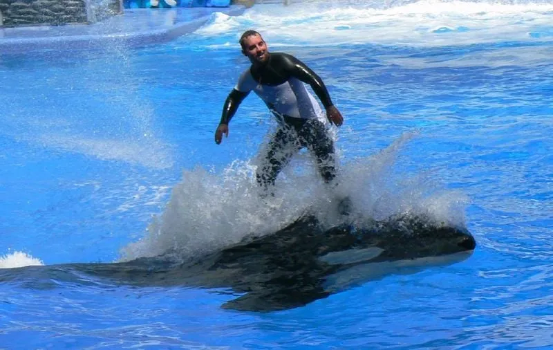 Sea World