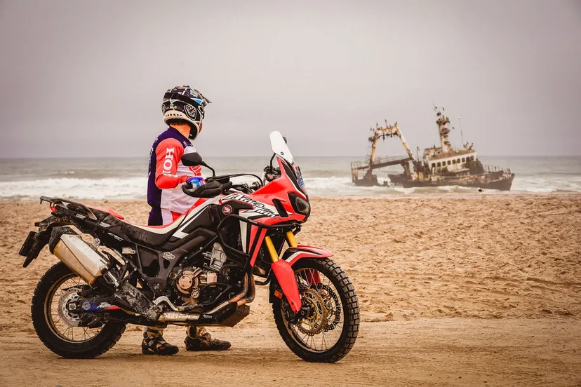 The Skeleton Coast