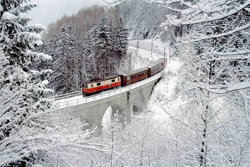 Winter View