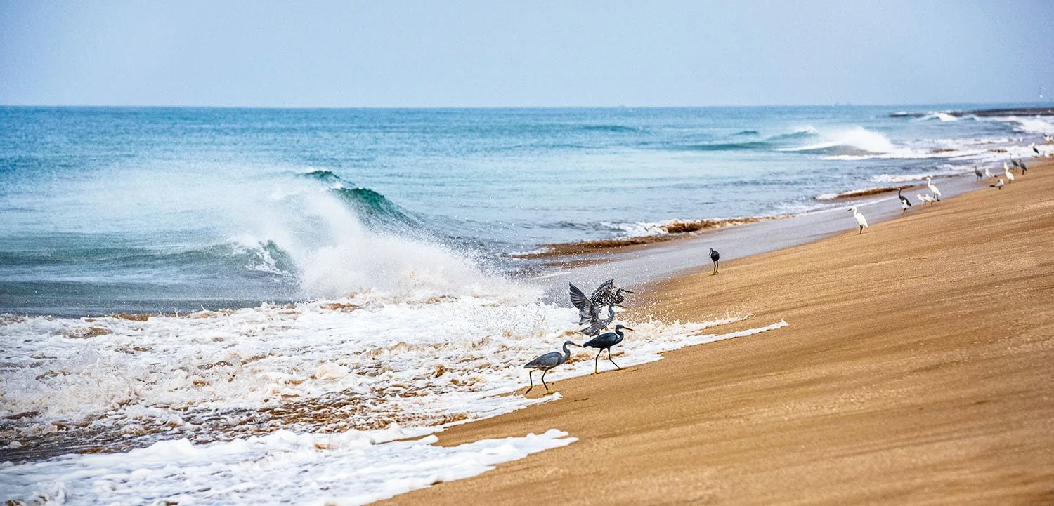 Madhavpur Beach 1
