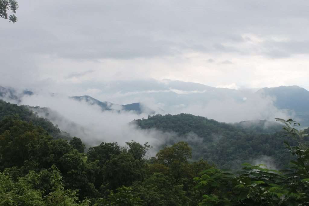 Image result for ananthagiri hills