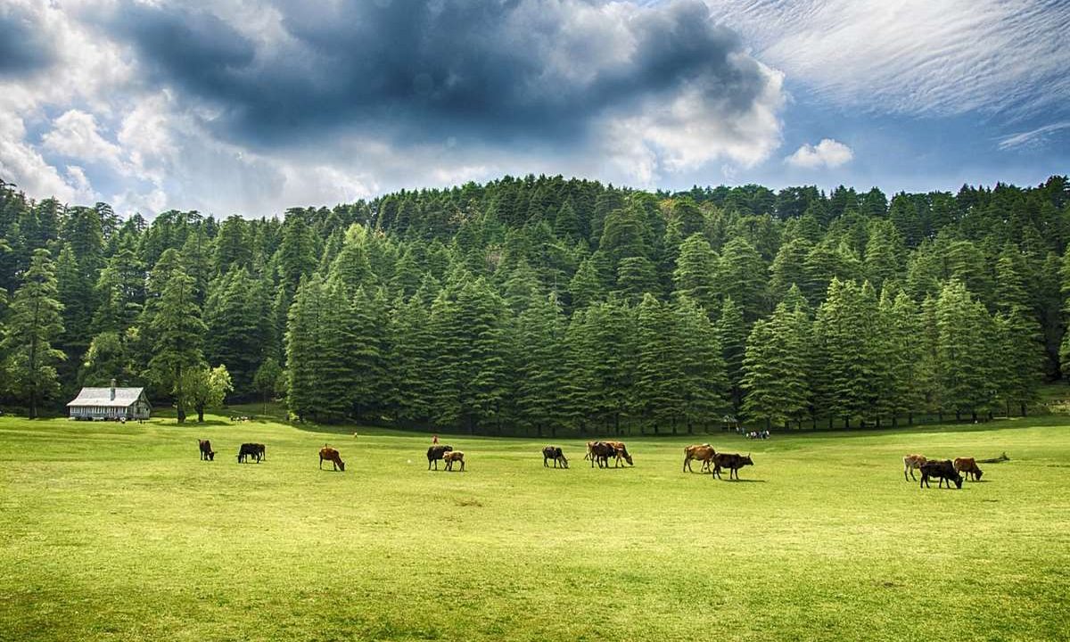 Dalhousie – Switzerland Of India
