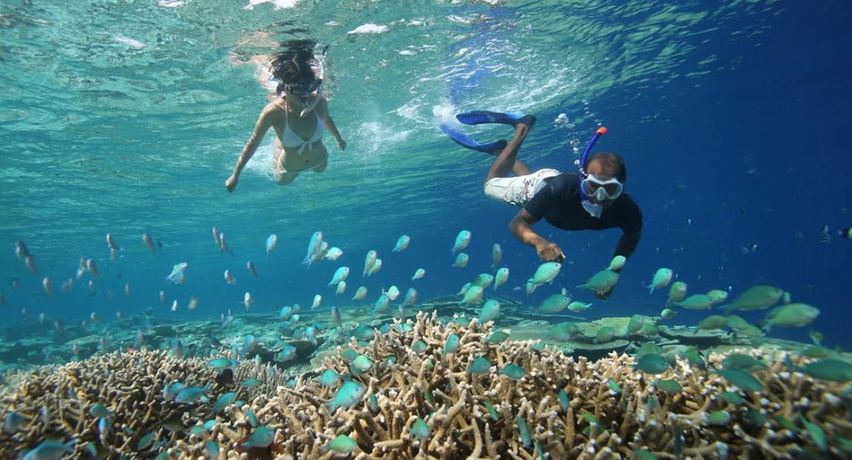 Banana Reef, Honeymoon Destinations in The Maldives
