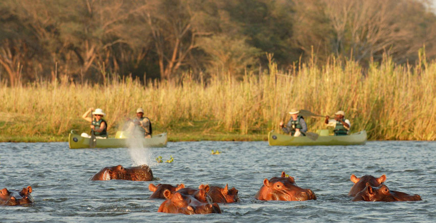 Canoe Safari, Zambia, Wildlife Safari Destinations