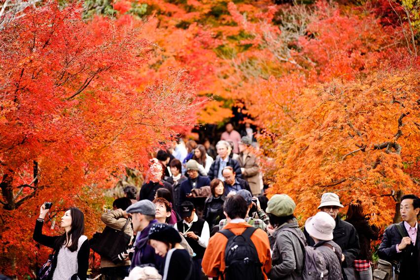 Eikando Temple - Attractions In Kyoto