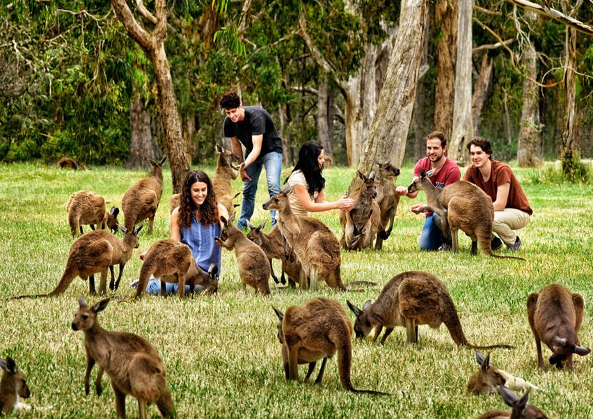 Kangaroo Island Wildlife Park