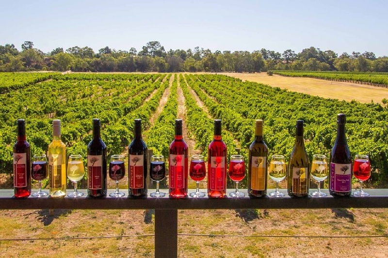 Take Swan Valley Wine Tour - Top Attractions In Perth