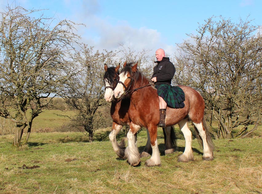 Blackstone Clydesdales, Places in Scotland