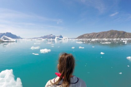 Greenland Cover
