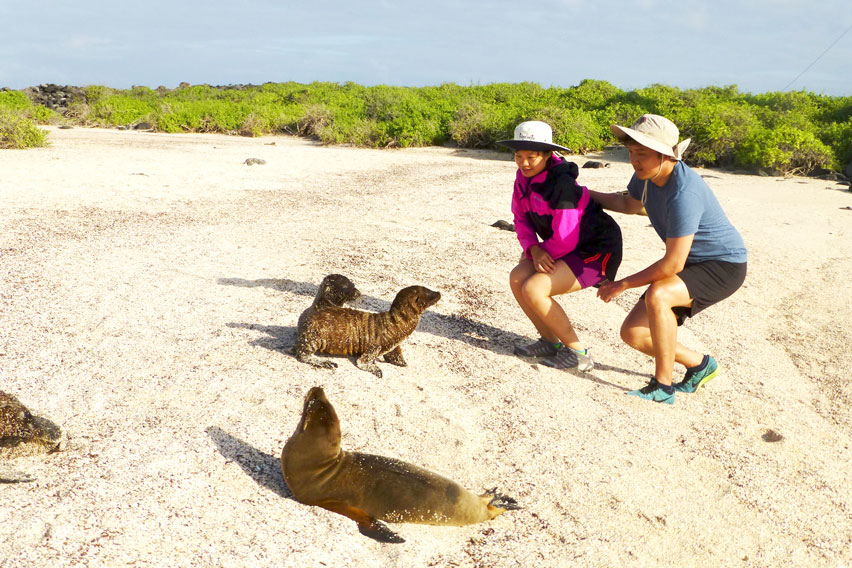 Santa Cruz Islands Couples havings fun with animals, Galapagos Islands