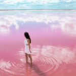 Las Coloradas Cover