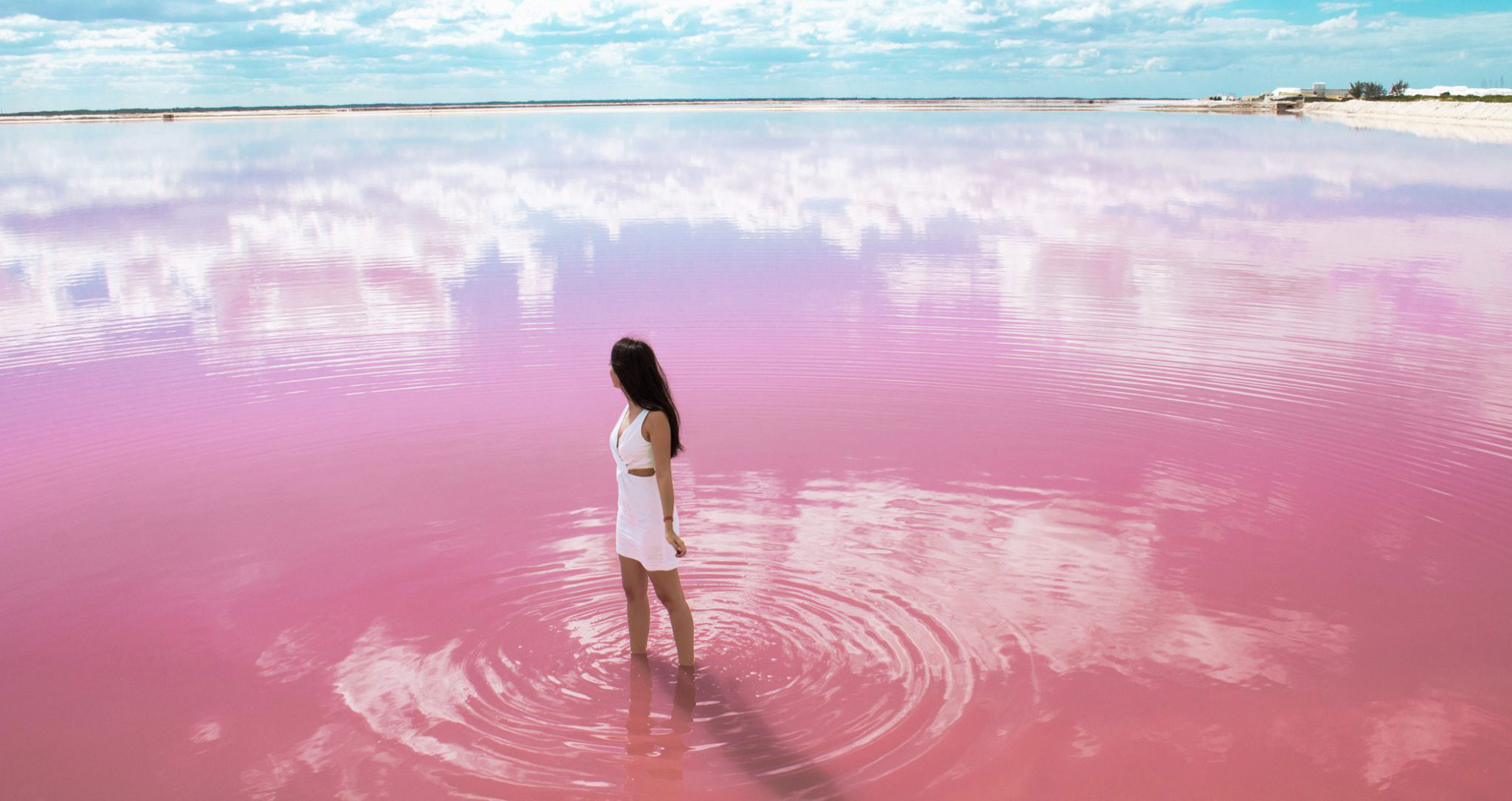 Las Coloradas Cover